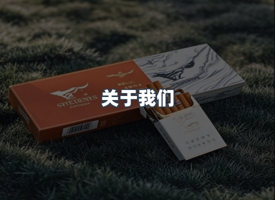 关于我们